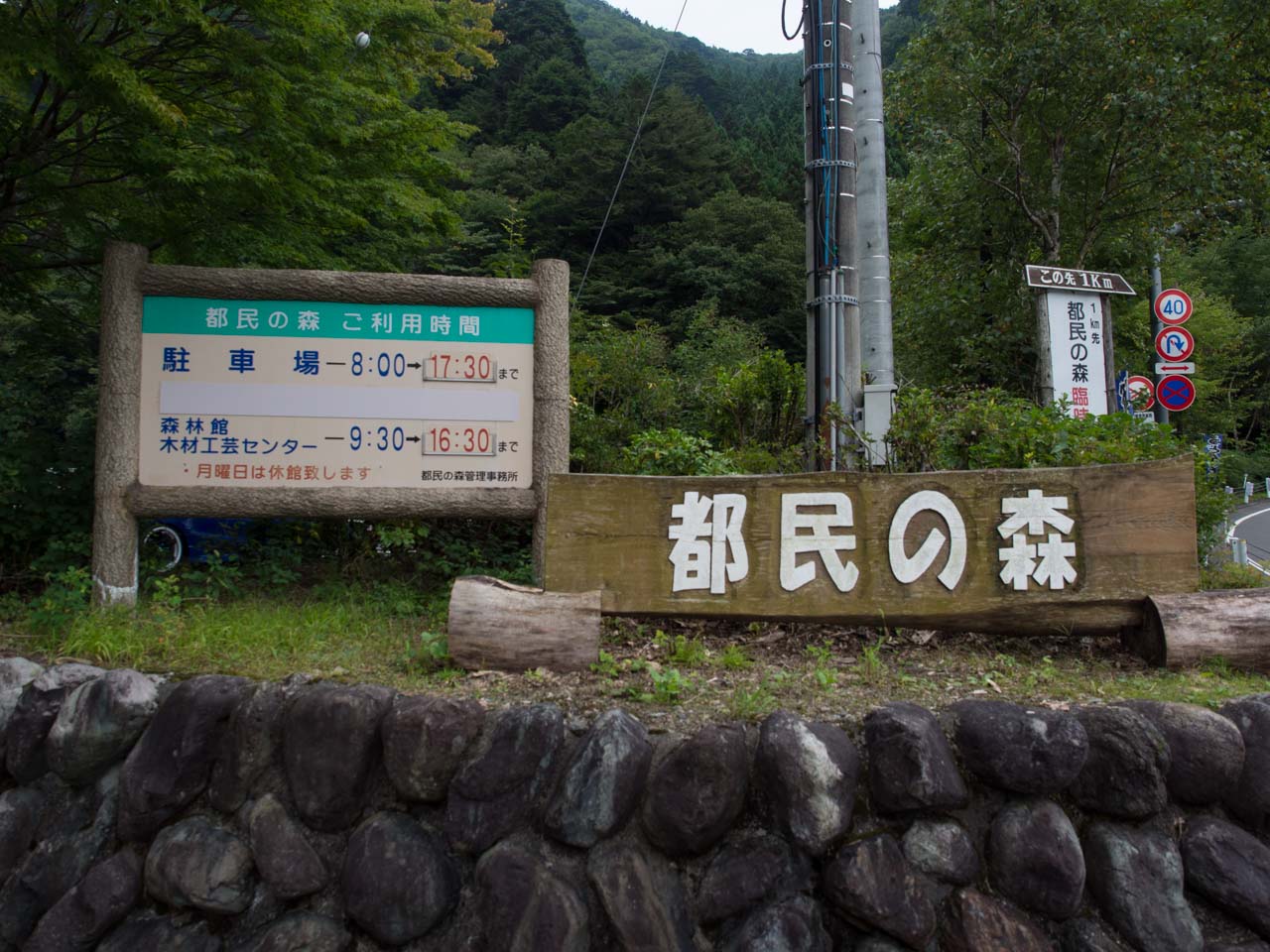 tomin-2